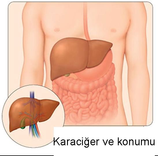 karaciğer rahatsızlığı