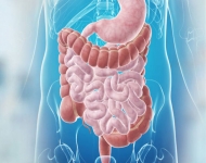 Gastroenteroloji nedir?