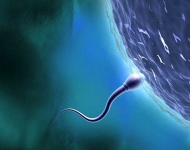 İnfertilite (kısırlık) nedir?