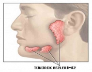 Tükrük bezi hastalıkları, tükrük bezi tümörü ve tedavisi