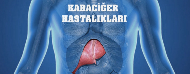 Karaciğer hastalıkları