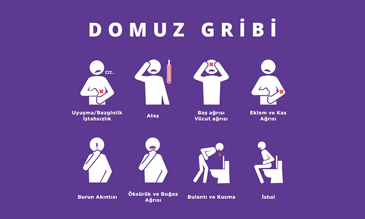 Domuz Gribi Testi Hastanemizde Yapılmaktadır